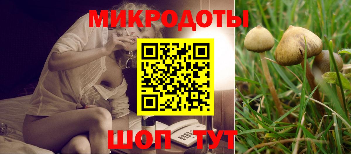Псилоцибиновые грибы мухоморы Можга